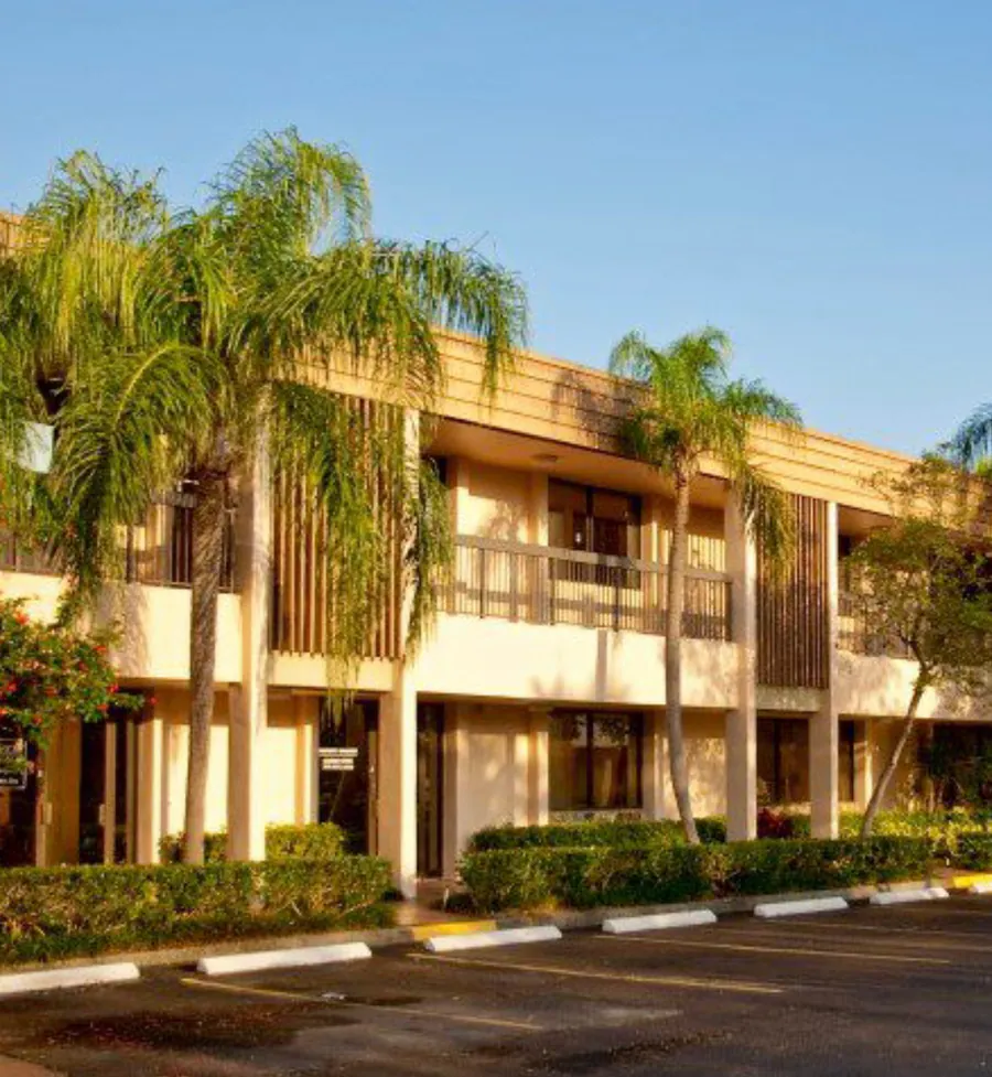 Golden-hour light through queen palms beside a building